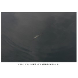 Imakatsu (IMAKATSU) Huddle Swimmer Elastomer (Eco Compatible) (#S-542 Sight Marker Wakasagi, 2.4 inches)