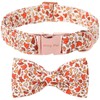 ARING PET Fall Dog Collar with Bow, Cute Autumn Tiny