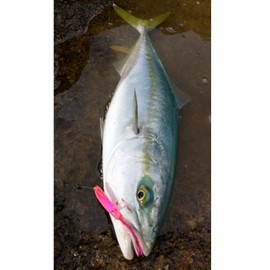 45mm Bow Angle 5 Color Set Surf Trolling Blue Fishing Lure