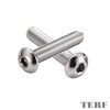 TERF® M10 X 40mm Hex Socket Cap Button Head Machine