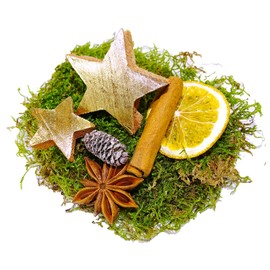 MGS Shop Decoration - Christmas Mix Craft Set, Creative Idea, Nature, Decoration with Moss, Anise, Cinnamon, Orange Slices, Coconut Star