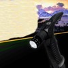 LED mountain climbing cane