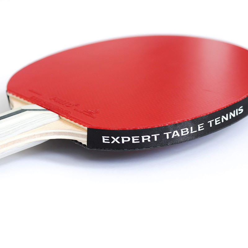 Palio Expert 3.0 Table Tennis Bat & Case | ITTF