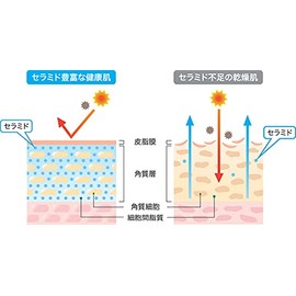 Sanmimore Cosmetics Sunmimore Foundation R14 Natural (2019 New Color), Unscented, 1.4 fl oz (40 ml)