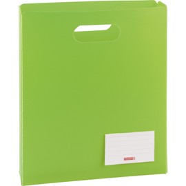 Brunnen FACT!pp 104163552 File Box 25 x 31 x 5 cm Translucent Polypropylene Film for A4 Notebooks and File Folder Open Top Green / Kiwi