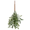 Vickerman 16" Green Artificial Mistletoe with Rope Hanger, 4 per