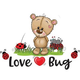 Love Bug Ladybug Insects Science Black Red Dots Teady Bear Gift Decorating Ideas Girl Boy Bedroom Wall Decal Sticker 18x26 Inches
