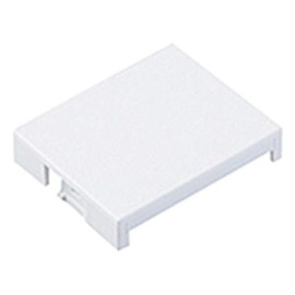 Panasonic WTA30201W Blank Chip for Double, Matte White