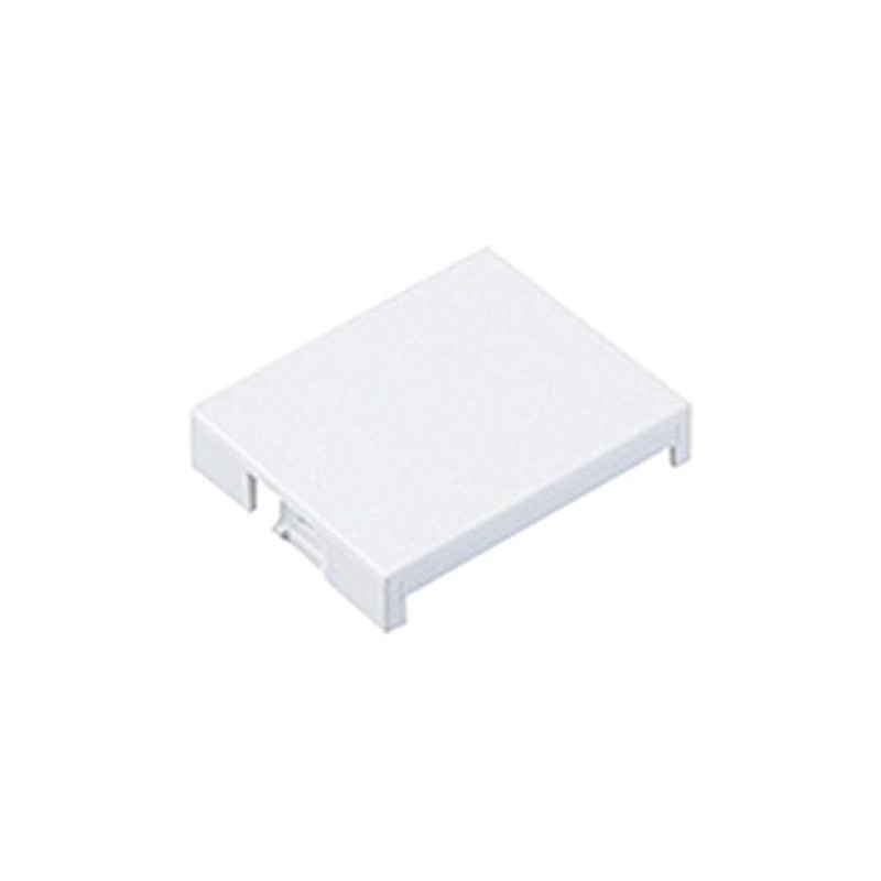 Panasonic WTA30201W Blank Chip for Double, Matte White