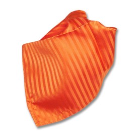 Vesuvio Napoli ORANGE Striped Pattern Hankerchief Pocket Square Hanky Men's Handkerchiefs