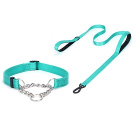 haoyueer Martingale Dog Collar with Stainless Steel Chain and Leash Set, Martingale Collar with Reflective, 5FT Double Handle Dog Leash Padded, Adjustable for Medium Large Dogs (L, Teal)