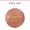 Bourjois Little Round Pot Blusher 3 Copper Brown, 2.5g