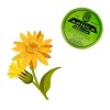 Pomada Corporal Arnica De La Abuela 30gr Dolores Musculares