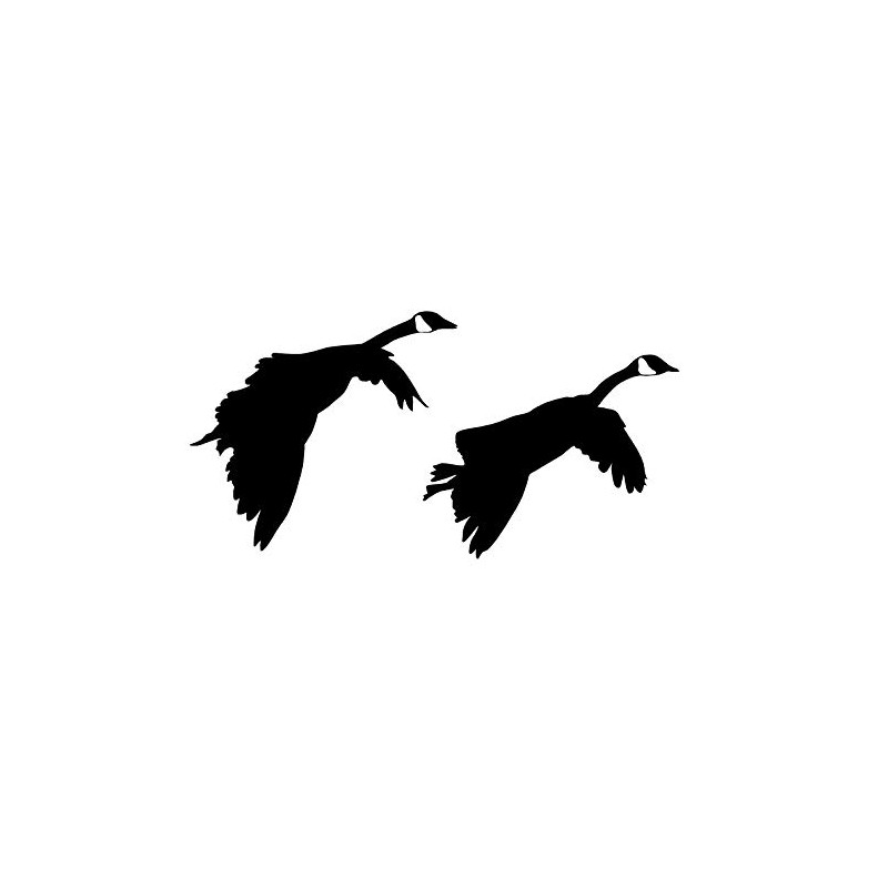 Pair of Geese Gliding in Waterfowl Hunting Decal Waterfowl Hunting