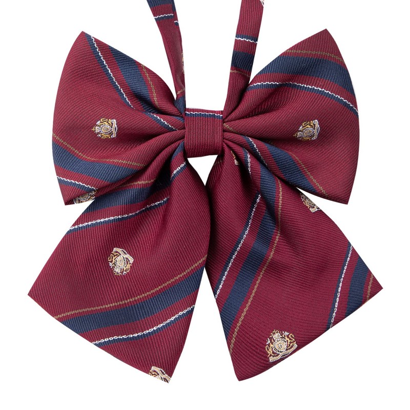 Classe School Ribbon, School Uniform, High School Girl, Junior High