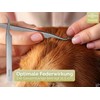 Premium Tick Tweezers Stainless Steel with Storage Case