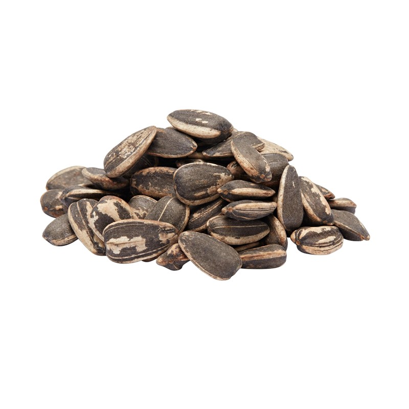 Spitz, Dill Pickle Sunflower Seeds - 16 oz