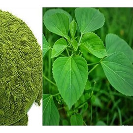 MGBN Harita Manjri-Indian Nettle-Kuppaimeni-Acalypha indica Powder 50 GM
