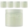 Cellimax Houttuynia cordata BHA eraser peeling pad, 60 sheets, 125ml, 5 pcs / 셀리맥스 어성초 BHA 지우개 필링 패드, 60매입, 125ml, 5개