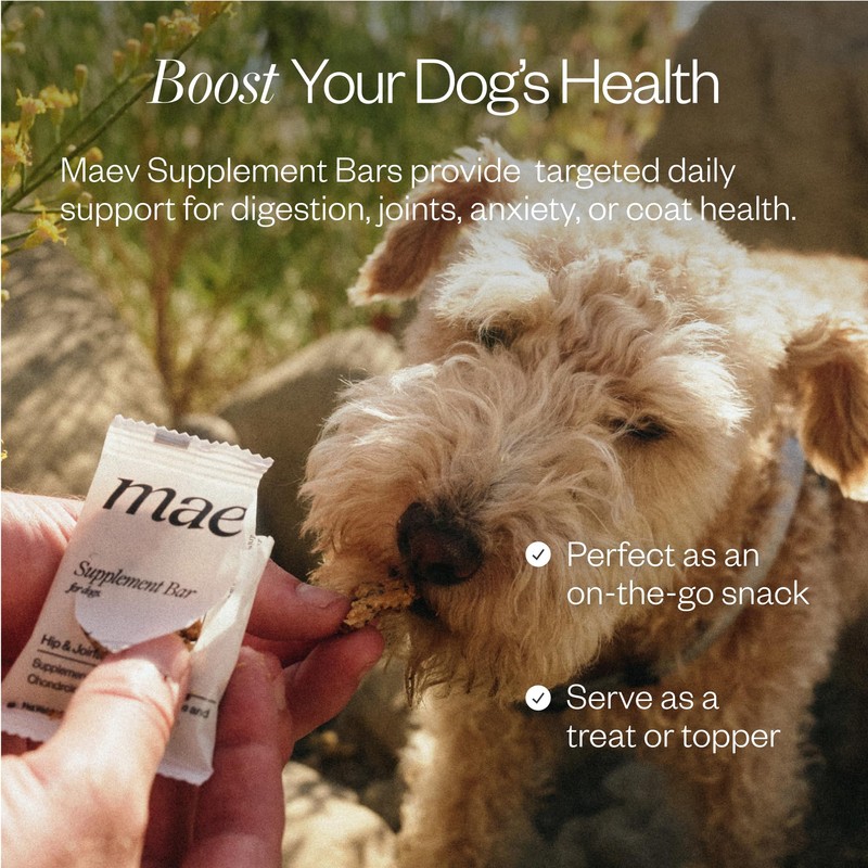 Maev MAEV Human-Grade Hip & Joint Supplement Bars | Natural