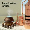 Lagunamoon Essential Oils Set - Top 6 Blends for Diffusers,