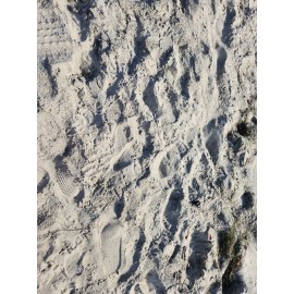 Ocean Beach Sand Sample in San Diego California Approximately 30ml.