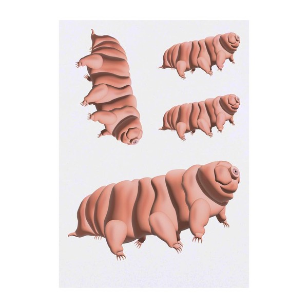 4 x 'Tardigrade' Temporary Tattoos - Water Resistant, Skin-Safe, Non-Toxic