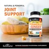 Turmeric Curcumin and Ginger - 95% Standardized Curcuminoids with BioPerine