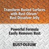 Rust-Oleum Rust Dissolver Jelly | Heavy-Duty Corrosion Remover for Metal
