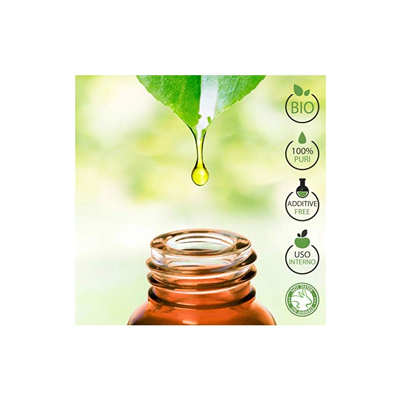 Tanne Bio Ätherisches Öl 100% Reines 10 ml - Aromatherapie