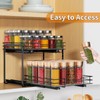 RCHYFEED Spice Organization for Cabinet,2 Tier Pull out Spice Rack