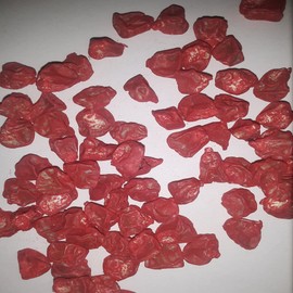 PAPAW'S GARDEN SUPPLY LLC. HELPING The NEXT GENERATION GROW! NK 199 Sweet Corn Treated Seeds, NON-GMO, 1 Pack of 200 Vegetable Seeds