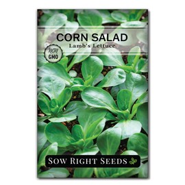 Sow Right Seeds - Lamb’s Lettuce Corn Salad Seeds for Planting - Non-GMO Heirloom Packet with Instructions to Plant & Grow an Outdoor Home Vegetable Garden - Verte de Cambrai Cold Hardy Lettuce (1)