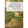 Asian Slaves in Colonial Mexico: From Chinos to Indians (Cambridge