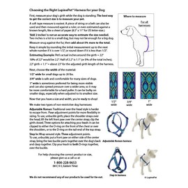 Lupine Adjustable Dog Harness with in 1" Wide Petunias 20-32" Girth