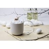 QUALY QL10220-BN Cotton Bud Organiser Recycled Plastic White / Brown
