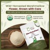 Organic Way Polvo Raíz Malvavisco Orgánico 2oz Té Herbal
