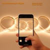 JOYLIT 24V LED Strip Lights 16.4FT/5M 2700K Warm White 9500LM