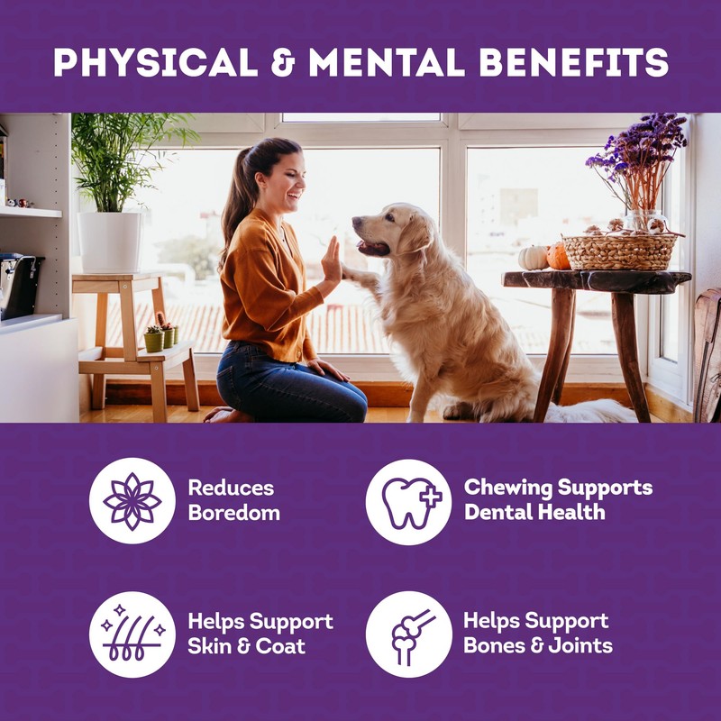 Treatly Combo Chews Beefhide Rolls 7" w/Beef Meat Wrap Dog