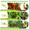 Feekoon 40 Pack Universal LST Plant Training Clips Reusable Low