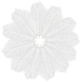 Dokeno White Ostrich Feathers, 6-8 Inches, Pack of 12 Natural Ostrich Feathers, Ostrich Feather for Crafts, DIY Dream Catcher, Accessories, Home Decoration, Costumes, Table Decoration, Wedding