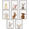 Kate and Laurel Sylvie Young Rabbit Framed Canvas by Amy