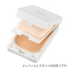 Small Foundation Case 1