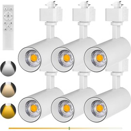 INTWELL 3-Colo 12W LED Track Lighting Heads,H Type LED Track Light Heads with Remote,Dimmable 3000K/4000K/5000K Selectable,CRI90+ Track Lighting for Accent,Artwork,Office 36°Angle 6Pack (White)