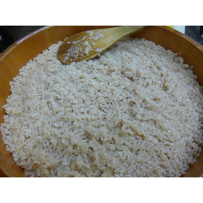 Uchibori Brewing Mino Sannen Vinegar, 16.9 fl oz (500 ml)