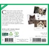 What Cats Teach Us 2026 5.4" x 6.2" Box Calendar
