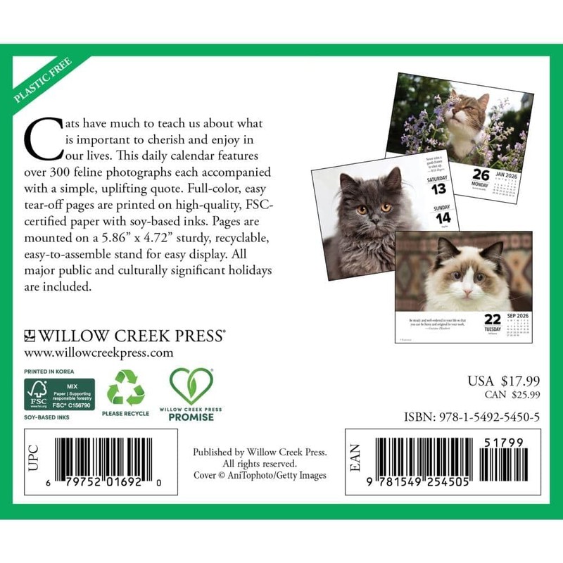 What Cats Teach Us 2026 5.4" x 6.2" Box Calendar