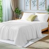 LBRO2M 100% Viscose Derived from Bamboo Bed Sheet 4 Piece