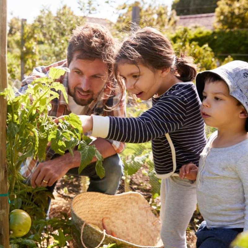 UAF Sports - Black Gardening Gloves Leather Thorn Proof Safety