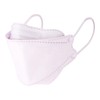 Non-woven Mask, 4 Ply Full Coverage, Regular Size, Pack of